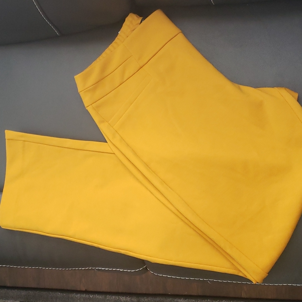 Gold NY & Co. Pants